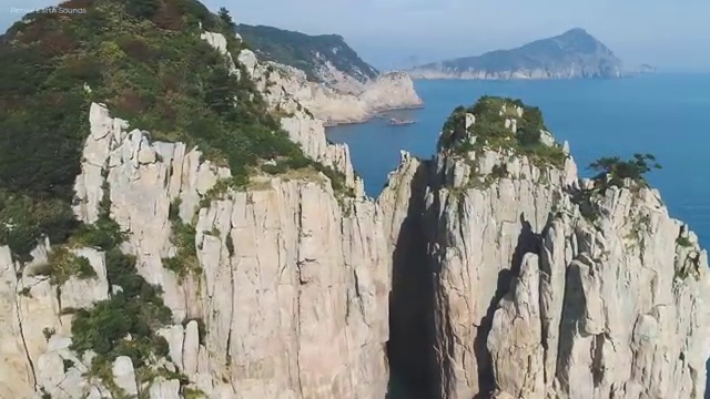  IT 자격증 추천 , 관련학과 아니어도 정리수납전문가 취득할 수 있어요