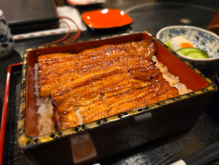  도쿄 시부야 맛집 하나비시 장어덮밥 점심 방문후기(예약방법, 가격)