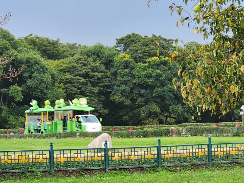 경주 여행 추천, 비단벌레 취소표 현장예매 방법