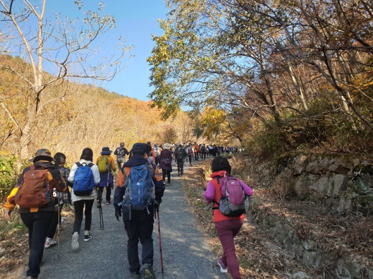  2024 지리산둘레길 걷기축제 /전남 구례 빵지순례 기본정보