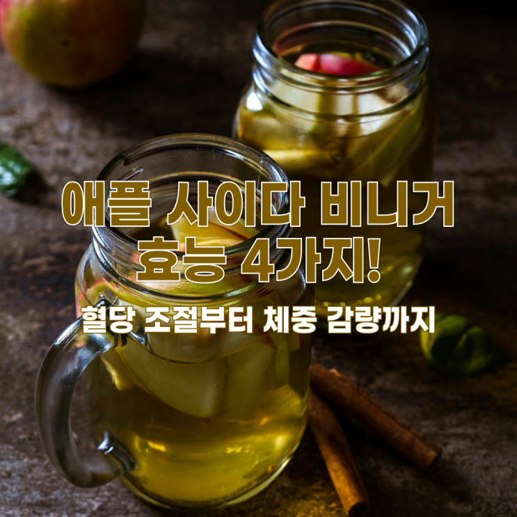  애플 사이다 비니거(식초)의 숨겨진 효능 4가지! 혈당 조절부터 체중 감량까지