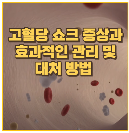  당뇨 환자 90%가 모르는 고혈당 쇼크 초기 증상과 예방 대처 노하우