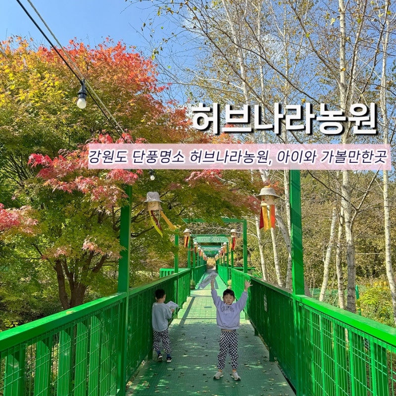 사진 3