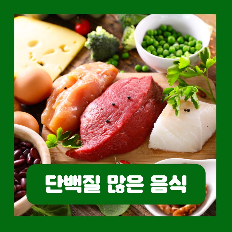  단백질 많은 음식 순위 동물성 식물성 고단백 식품 종류
