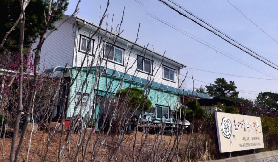호애담농가맛집 사진 5