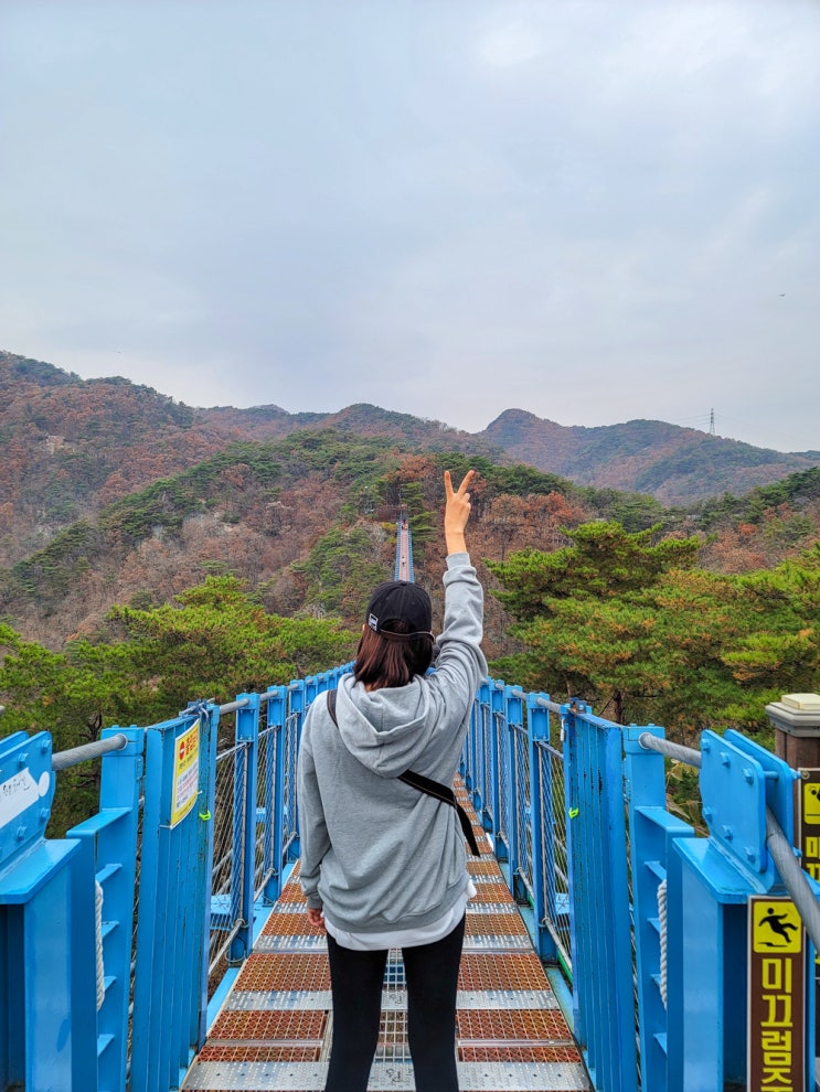  이맘때 볼 수 있는 국내 단풍명소 원주 소금산 출렁다리