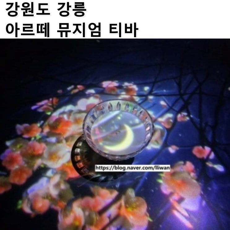  [강원도/강릉] 내돈내산 아르떼뮤지엄 강릉 입장권과 함께 구매한 솔직후기, 아르떼 뮤지엄 티바