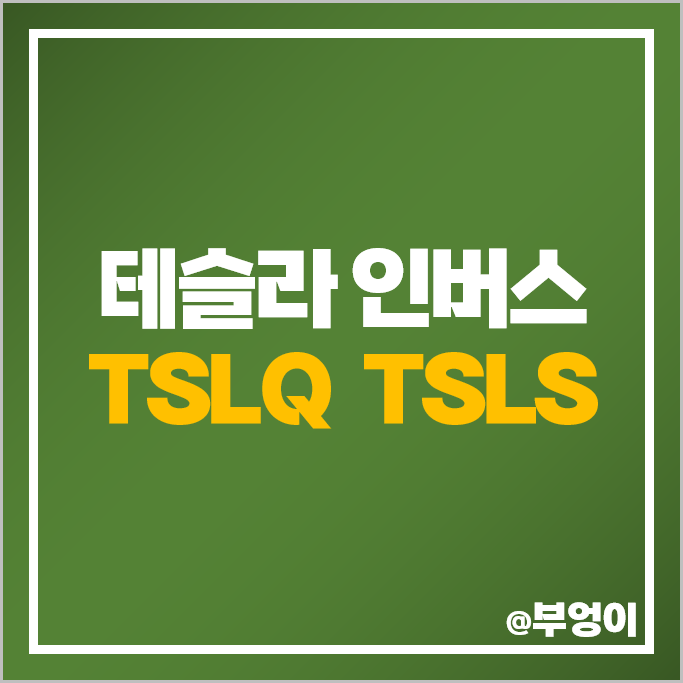 TSLA 테슬라 관련주 인버스 투자 방법 미국 ETF TSLQ TSLS 주가 배당 TSLA 테슬라 관련주 인버스 투자 방법 미국 ETF TSLQ TSLS 주가 배당