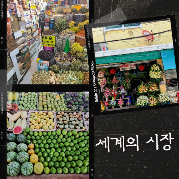  포토덤프 I 8th I 내가구경한 세상의 시장