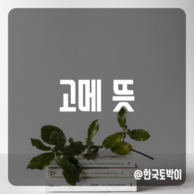  Gourmet 고메 뜻 (고메버터 고메스퀘어란?)