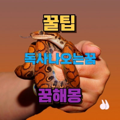 독사가 나오는 꿈 해몽, 경고와 기회, 그리고 극복의 상징
