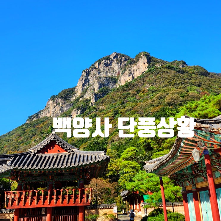 〔전남장성〕장성 백양사 단풍 절정 시기 예상 -백양사 입장&주차 무료-2024년 10월 24일 단풍 상태 -백양사 캠핑카 이용안내