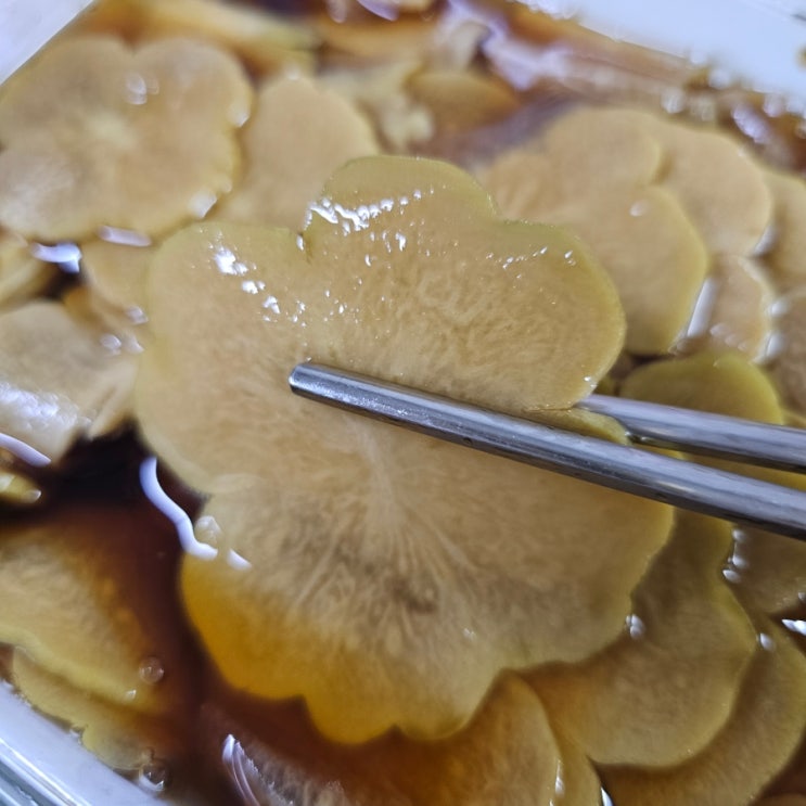  [밑반찬] 아삭아삭 차요테 장아찌 만들기 (feat. 백종원장아찌소스)