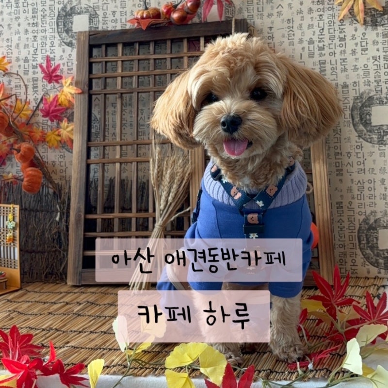 사진 3