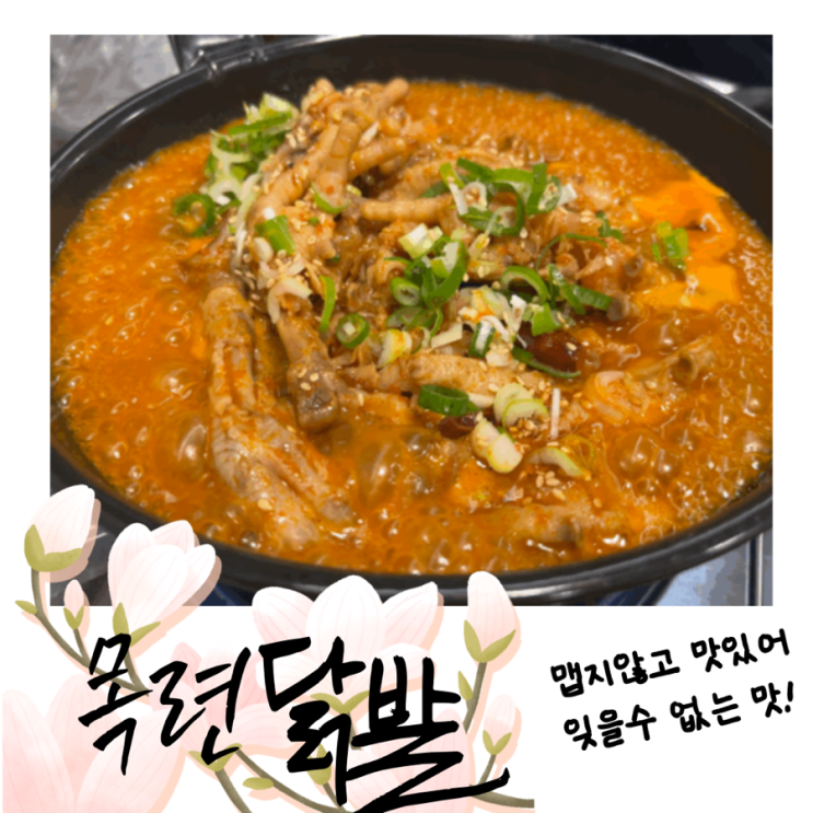  [강남구 일원동] 맵지않게 맛있는 닭발맛집추천 “목련닭발”