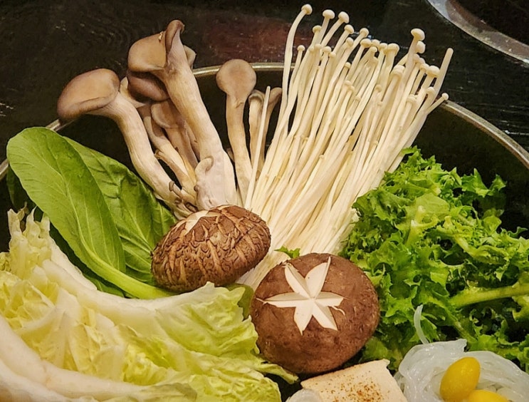 [마포 맛집] 스키당 대흥점, 균형잡힌 건강한 한끼를 즐길수있는 대흥역 맛집 (공덕 샤브샤브, 서울 스키야키 맛집, 대흥 회식)