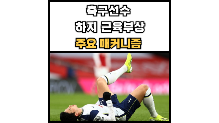  [논문리뷰] 축구선수들에게 나타나는 근육 부상 매커니즘(부상 원인)