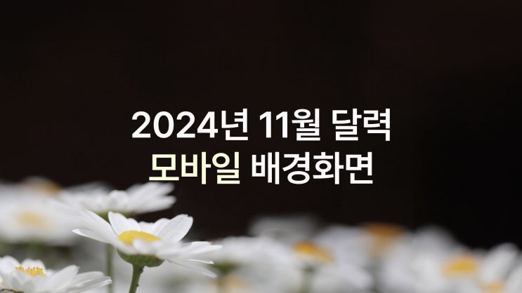  2024년 11월 달력 아이폰 16 pro max 기본, 풍경, 꽃 배경화면 7종