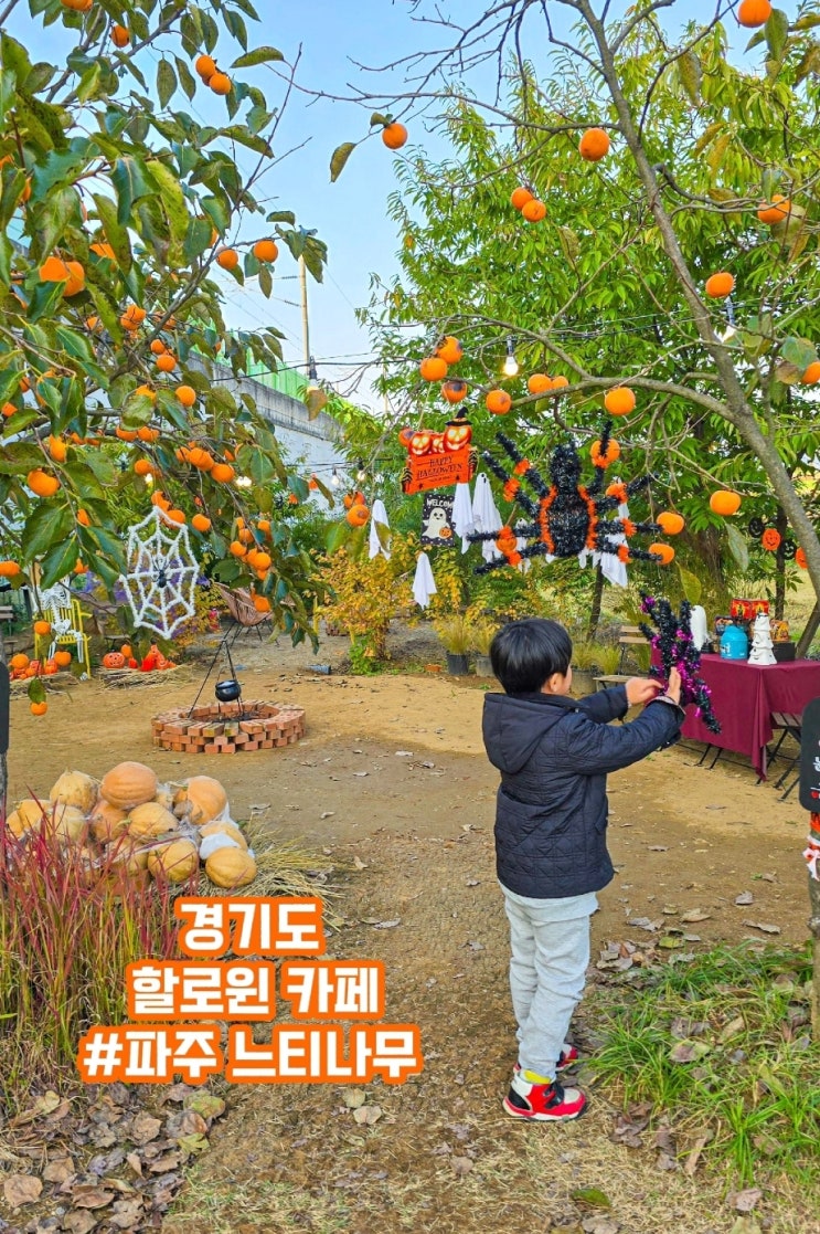  경기도 할로윈카페- 파주 느티나무 정원카페