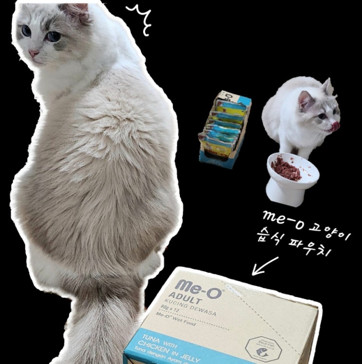  meo 미오 고양이 습식 파우치 후기