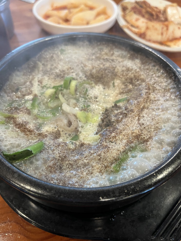  다이어트 빡세게 한 동생 10kg 감량...다이어트하라고 고나리 / 쇼핑 리스트