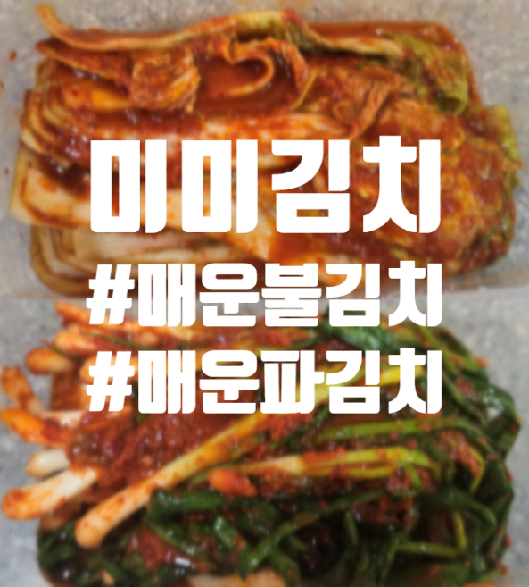  맛있게 매운 김치 추천 미미김치 의정부 매운 불배추김치, 매운파김치