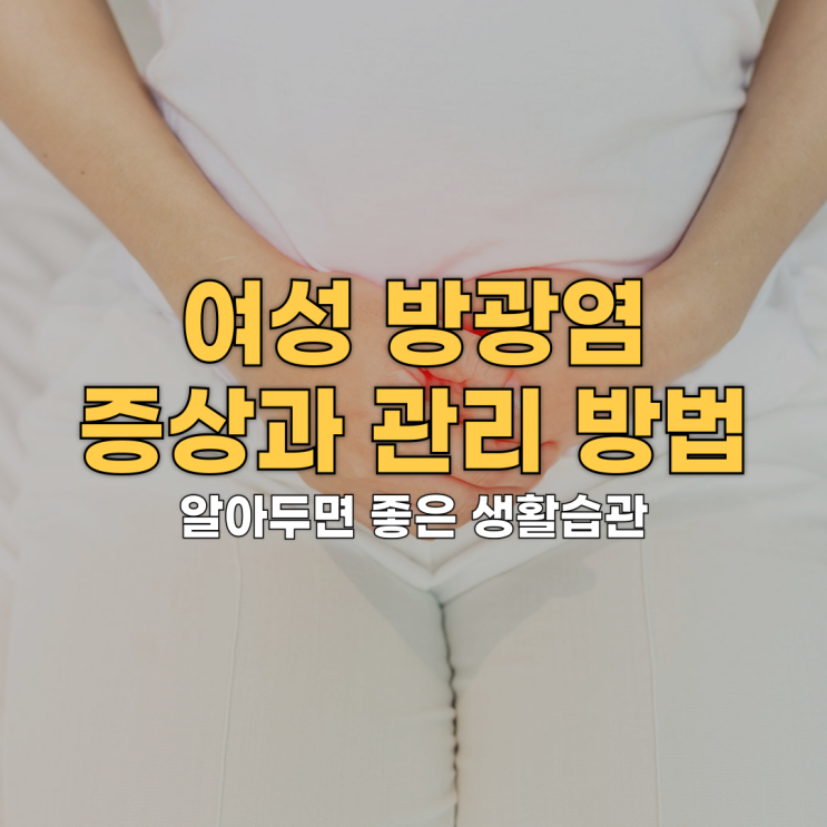  여성 방광염의 증상과 관리 방법: 알아두면 좋은 생활습관