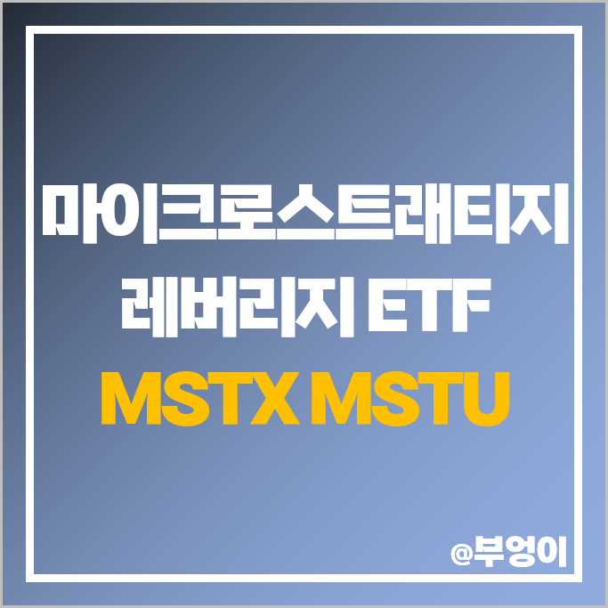 MSTR 마이크로스트래티지 레버리지 미국 ETF 투자 방법 MSTX MSTU 주가 MSTR 마이크로스트래티지 레버리지 미국 ETF 투자 방법 MSTX MSTU 주가