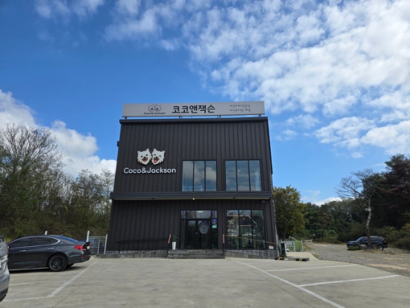 사진 8