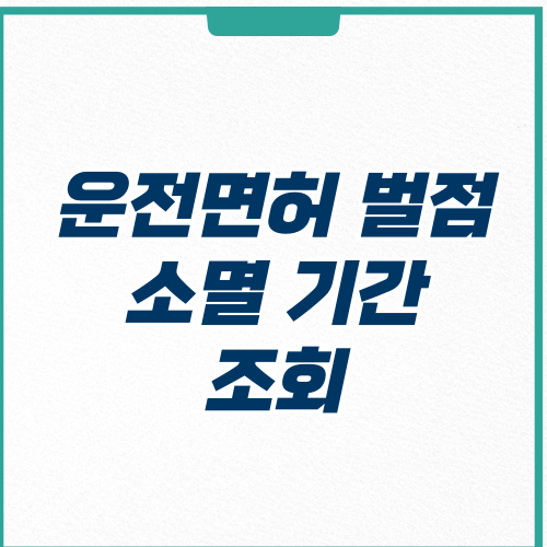  운전면허 별점 소멸 기간 및 조회하기
