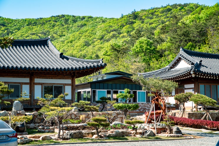 멋진힐링장소, 거금도민박 거금도한옥펜션 멋진힐링장소, 거금도민박 거금도한옥펜션