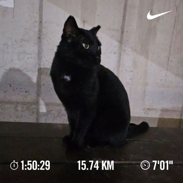 [챌린지] 매일 10km 러닝 챌린지 1172일 차