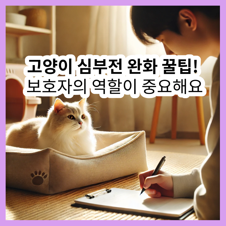  고양이 심부전 증상부터 케어 꿀팁까지, 보호자의 필수 역할