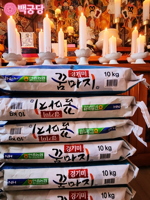  위태로운 직업 선택 경기광주용한신점에서 해결했어요.