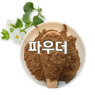  (인디샘) 인도에서 브라미/브라흐미(Brahmi)의 제품/상품의 형태 별 제조가격/공장가격/수출가격/도매가격 알아보기