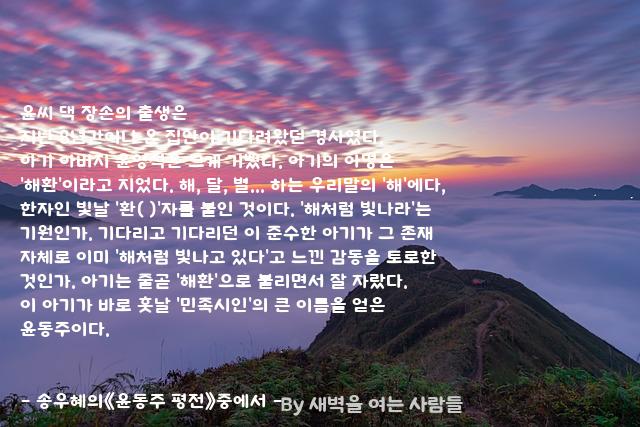 윤씨 윤씨