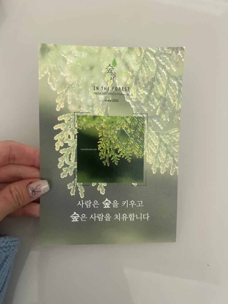  내집안에 작은 숲속 숲에서 피톤치드겔