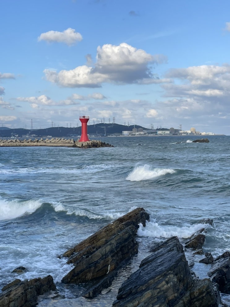 내고향 부산 여행 일기(리투커피바, 합천일류돼지국밥, 톤쇼우, 광안리 워킹홀리데이)