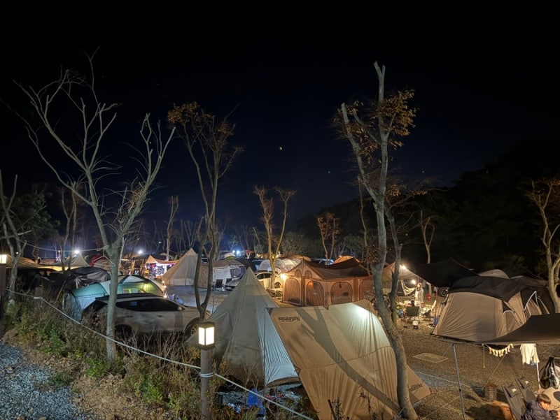 충남 태안 [파도와노을캠핑장] 해피할로윈