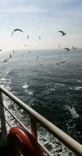  김훈 산문 <제주에서>