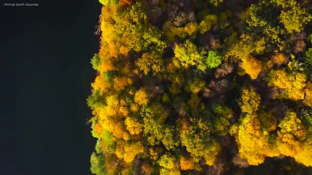  아파트 경매 권리분석 , 혼자서 독학으로 부동산권리분석사자격증 합격한 후기
