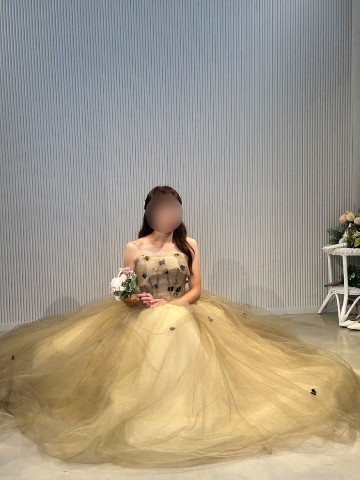  세인트헬레나(구 아멜리에블랑) 드레스 촬영가봉 후기