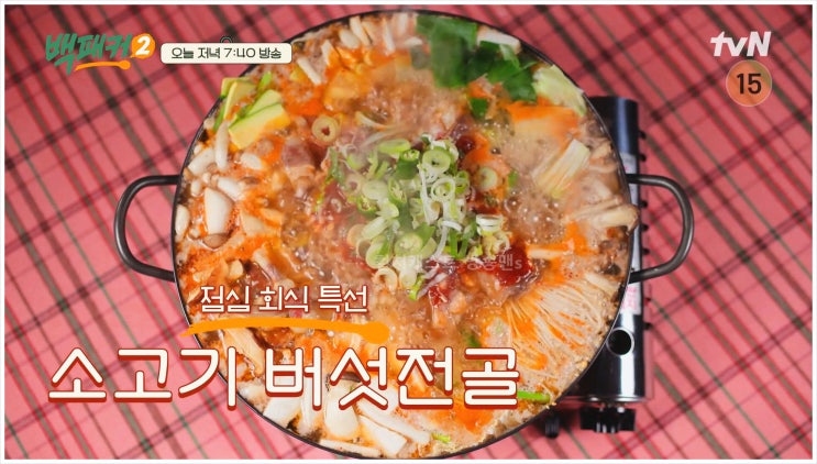  백패커2 청주우체국 집배원 버섯전골 마장동칼잡이 파리올림픽 유도선수 회식메뉴 술안주 백종원 이수근 허경환 안보현 고경표 김민종