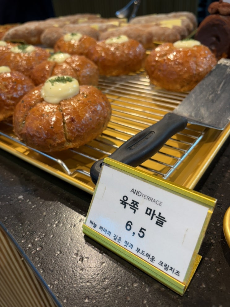  포토덤프 8주차의 여정