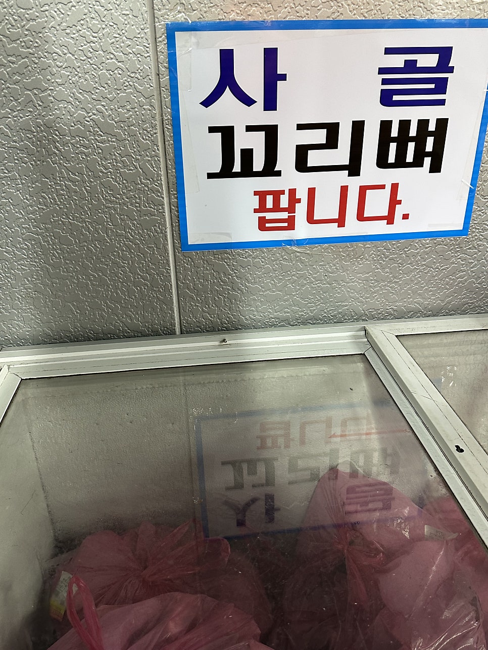 돈우 사진 5