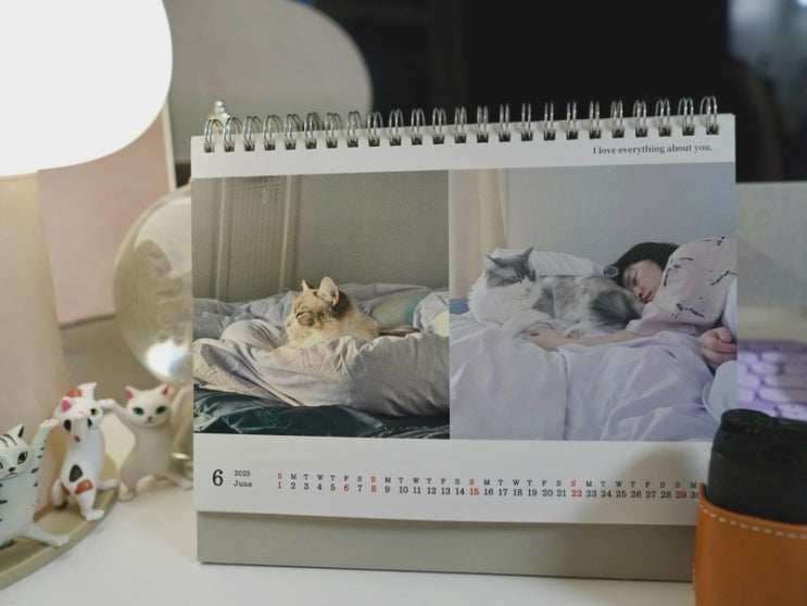  2025 커스텀캘린더 만들기, 반려묘와의 추억을 담은 퍼블로그 탁상달력 후기