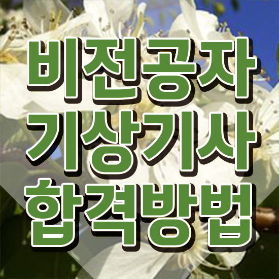  기상기사 응시자격 온라인 수업으로 간편하게 준비한 팁