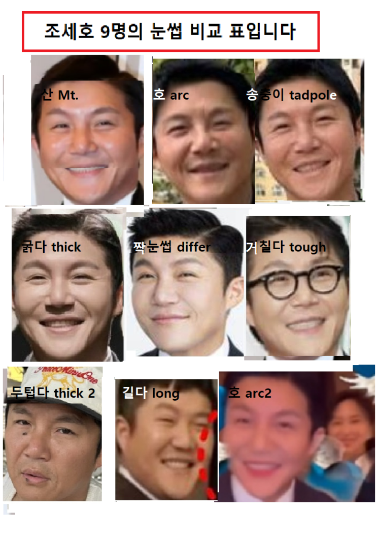 세상만사 천태만상, 윤수현의 동생 정수지의 상대 배우자는 조세호....