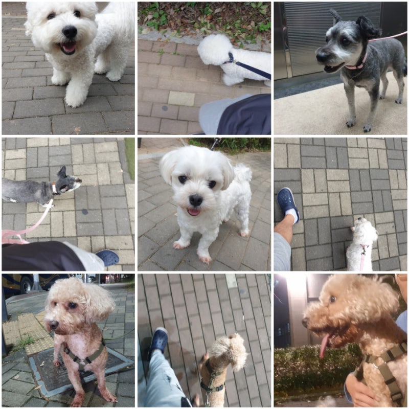사진 6