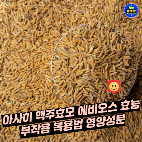 아사히 맥주효모 에비오스 효능 부작용 복용법 영양성분